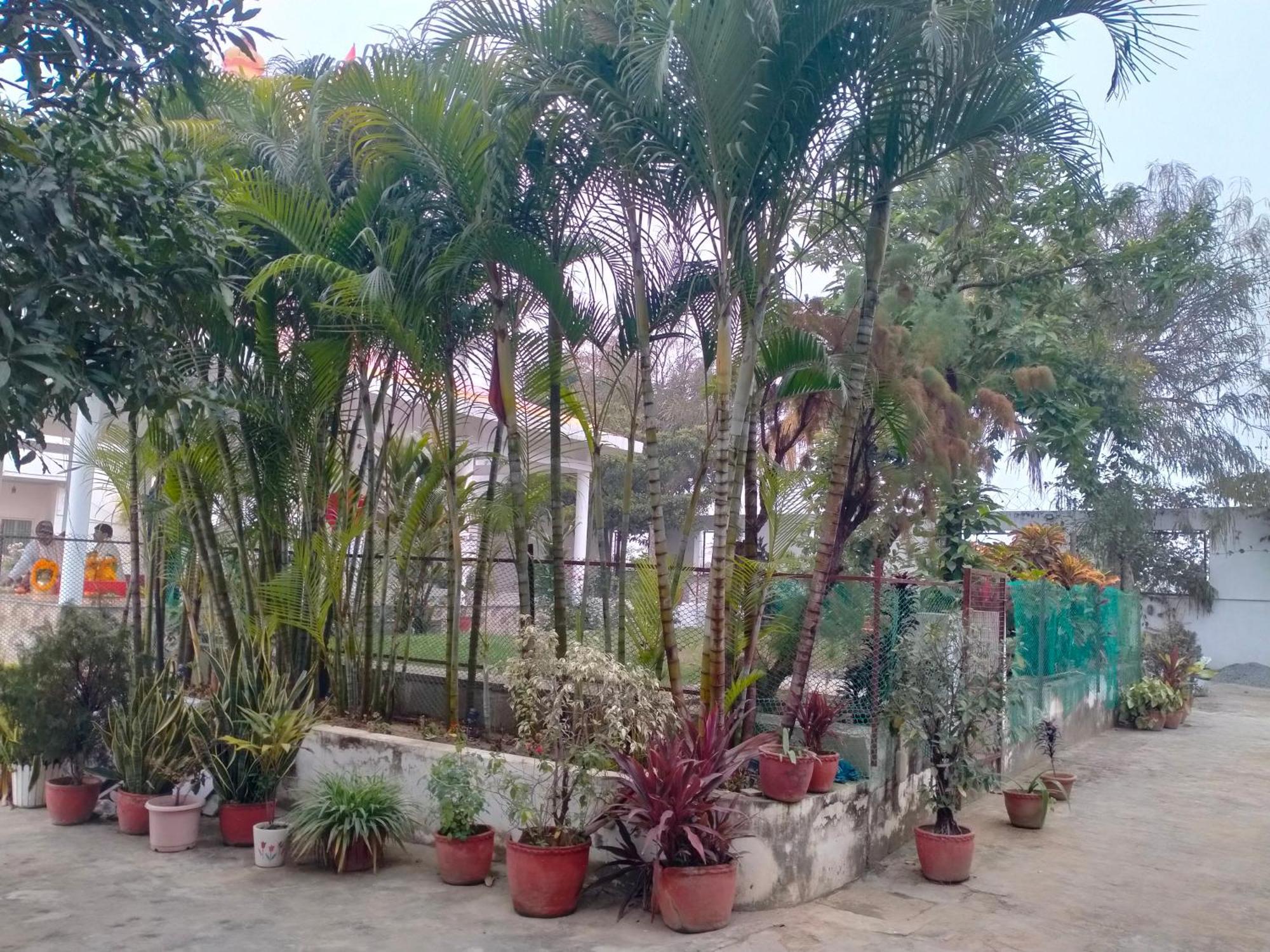 Vedic Villa Varanasi Luaran gambar