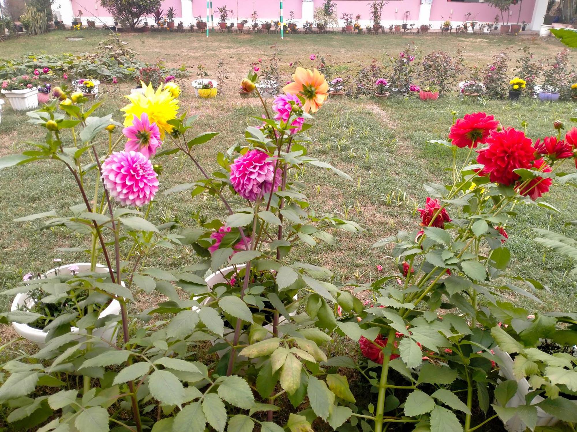 Vedic Villa Varanasi Luaran gambar