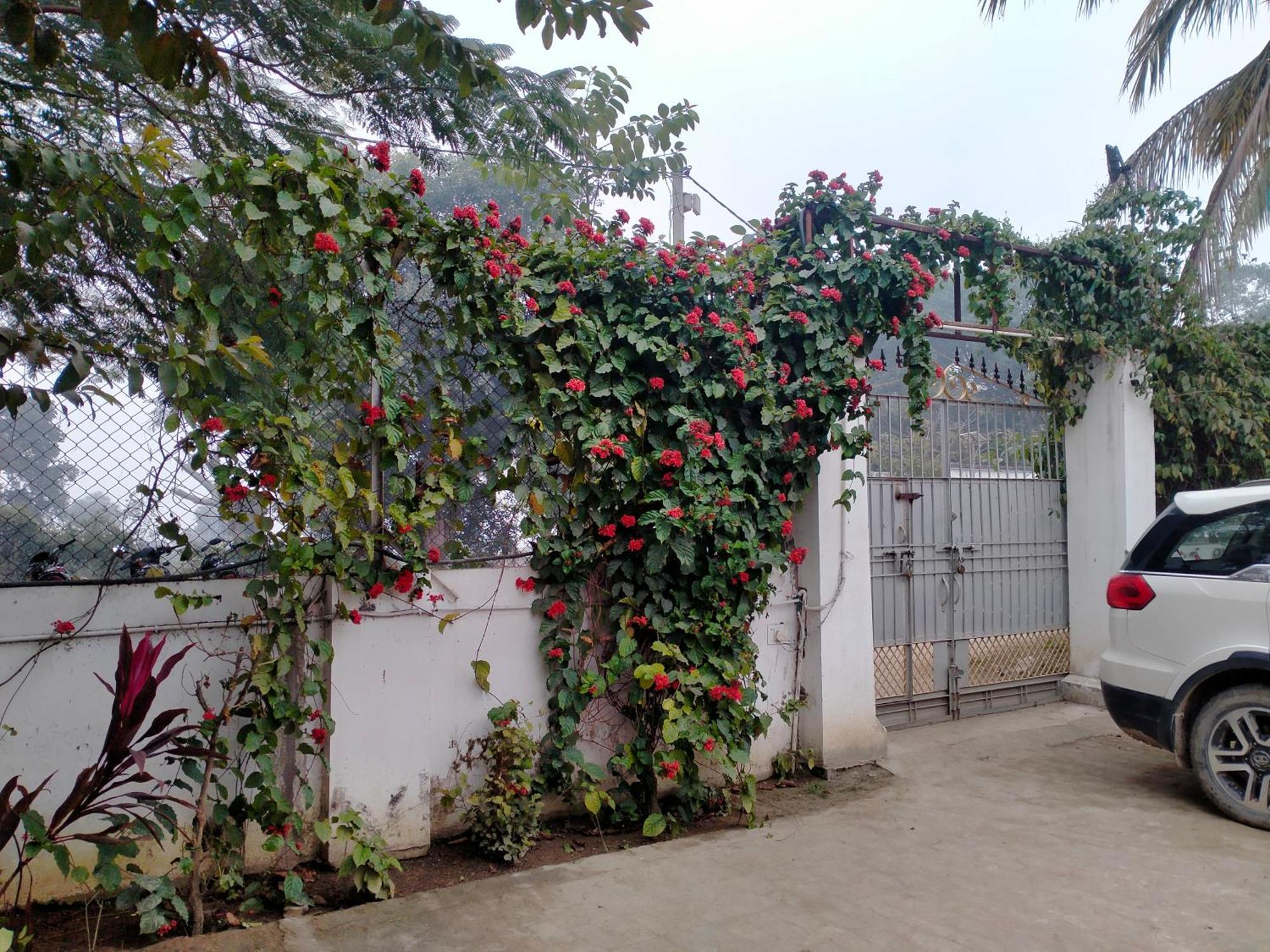 Vedic Villa Varanasi Luaran gambar